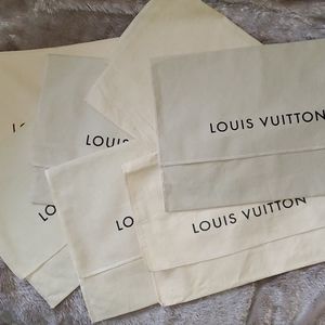 Louis Vuitton Dust Bag Cover 9 x 13